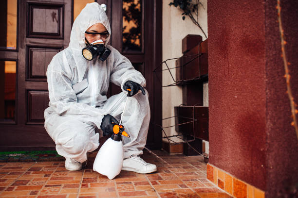 Attic and Crawl Space Rodent Treatment in Pine Ridge