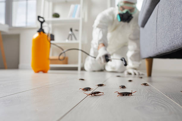 Commercial Rodent Management in Pine Ridge